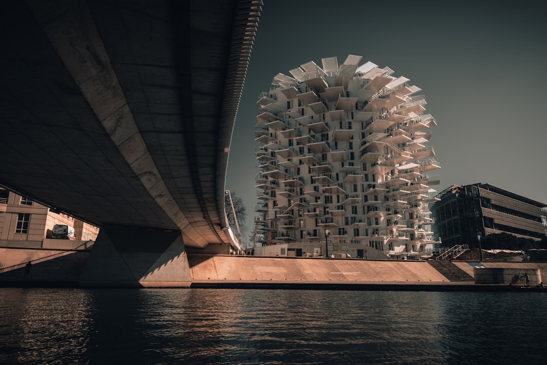 Interactive Elements